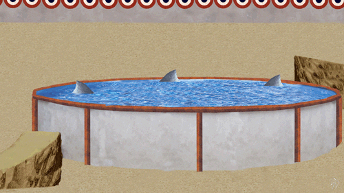 shark_jump.gif